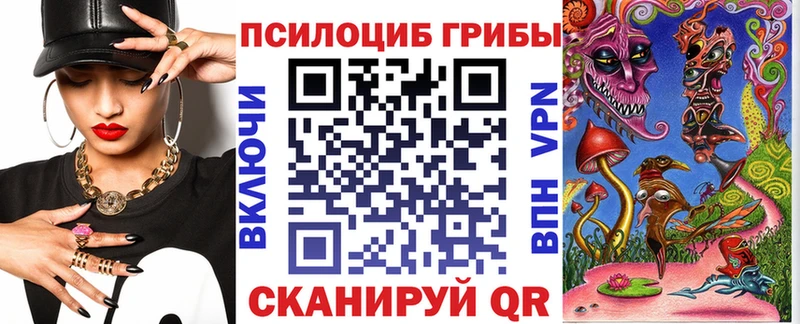 Галлюциногенные грибы Psilocybe  Пойковский 
